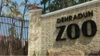 Dehradun Zoo